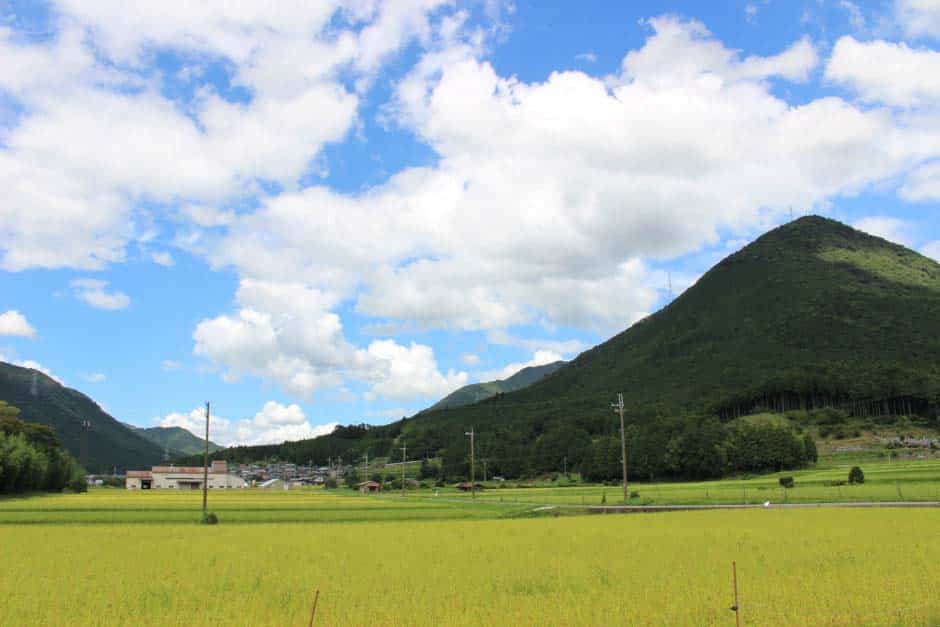 農地をうるおす森林